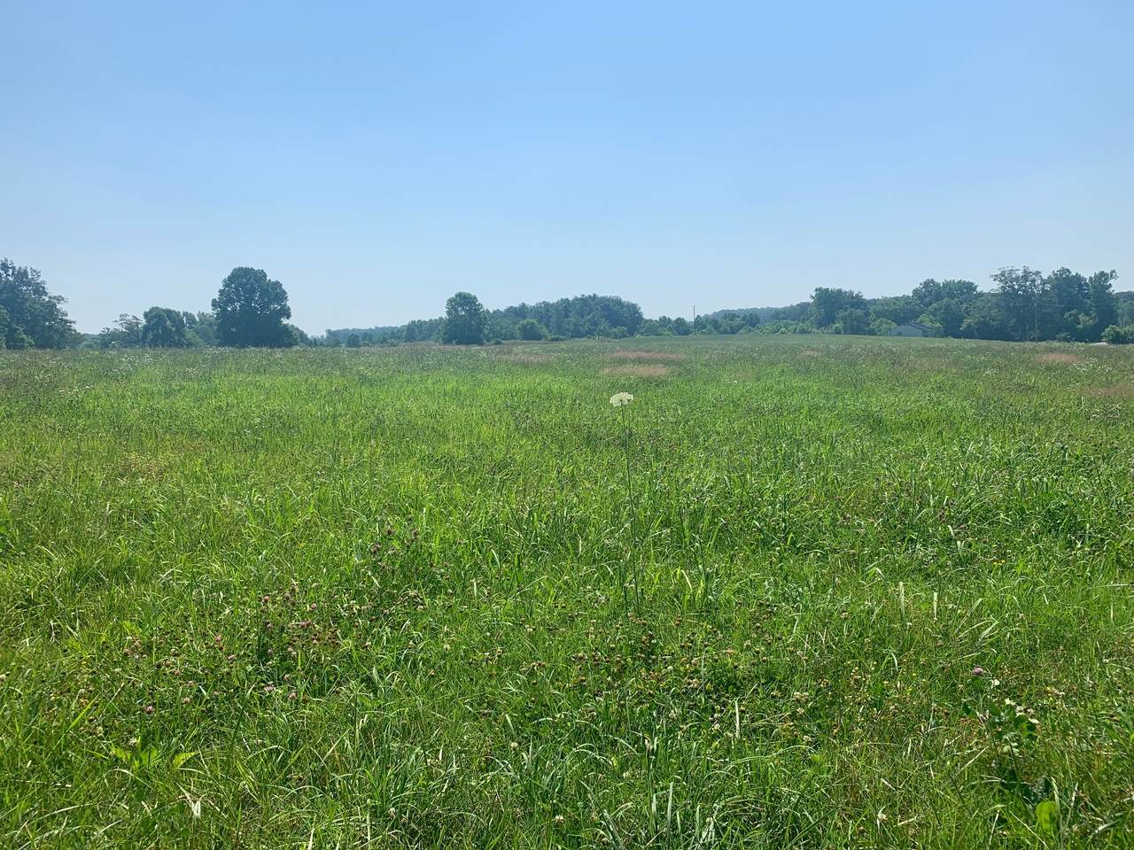 3 Eugene Reed Rd - Photo 1