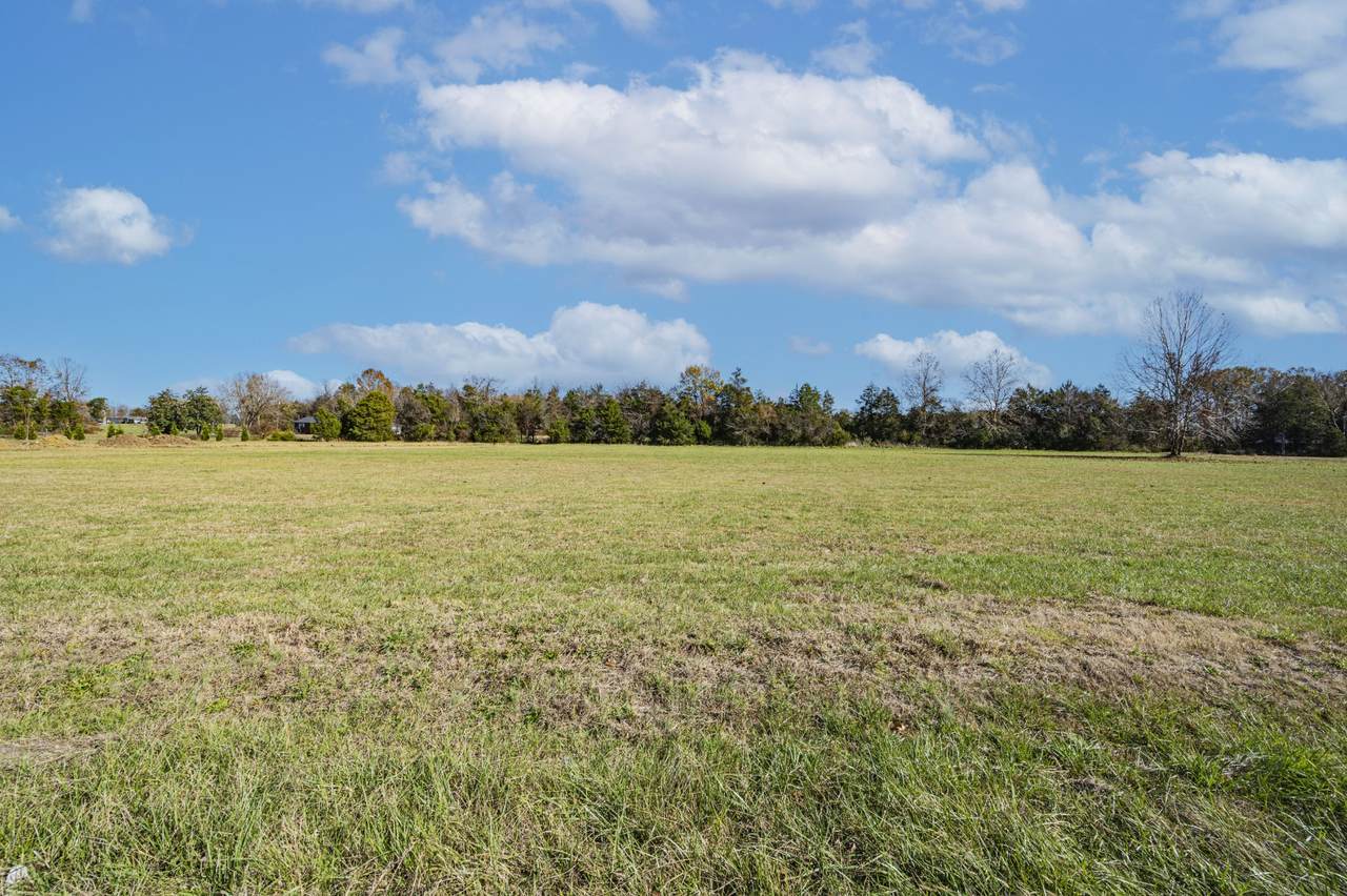 15075 Versailles Rd - Photo 1
