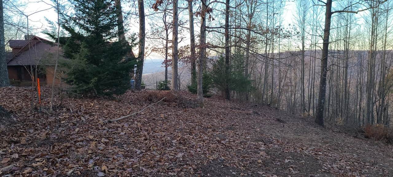 1010 N Bluff Circle - Photo 1