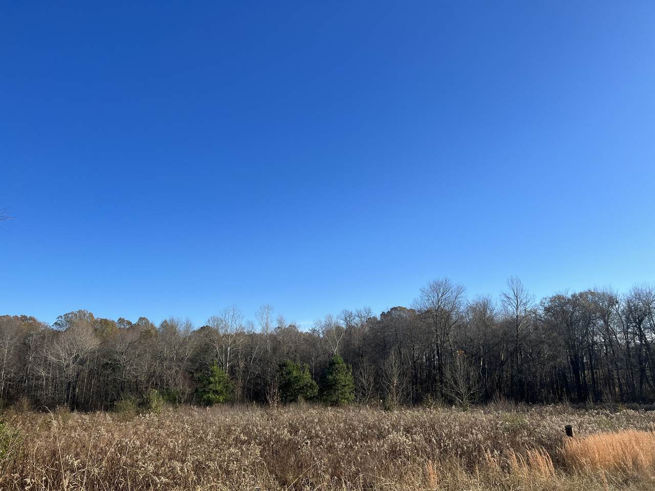 0 Hayshed Rd - Photo 1