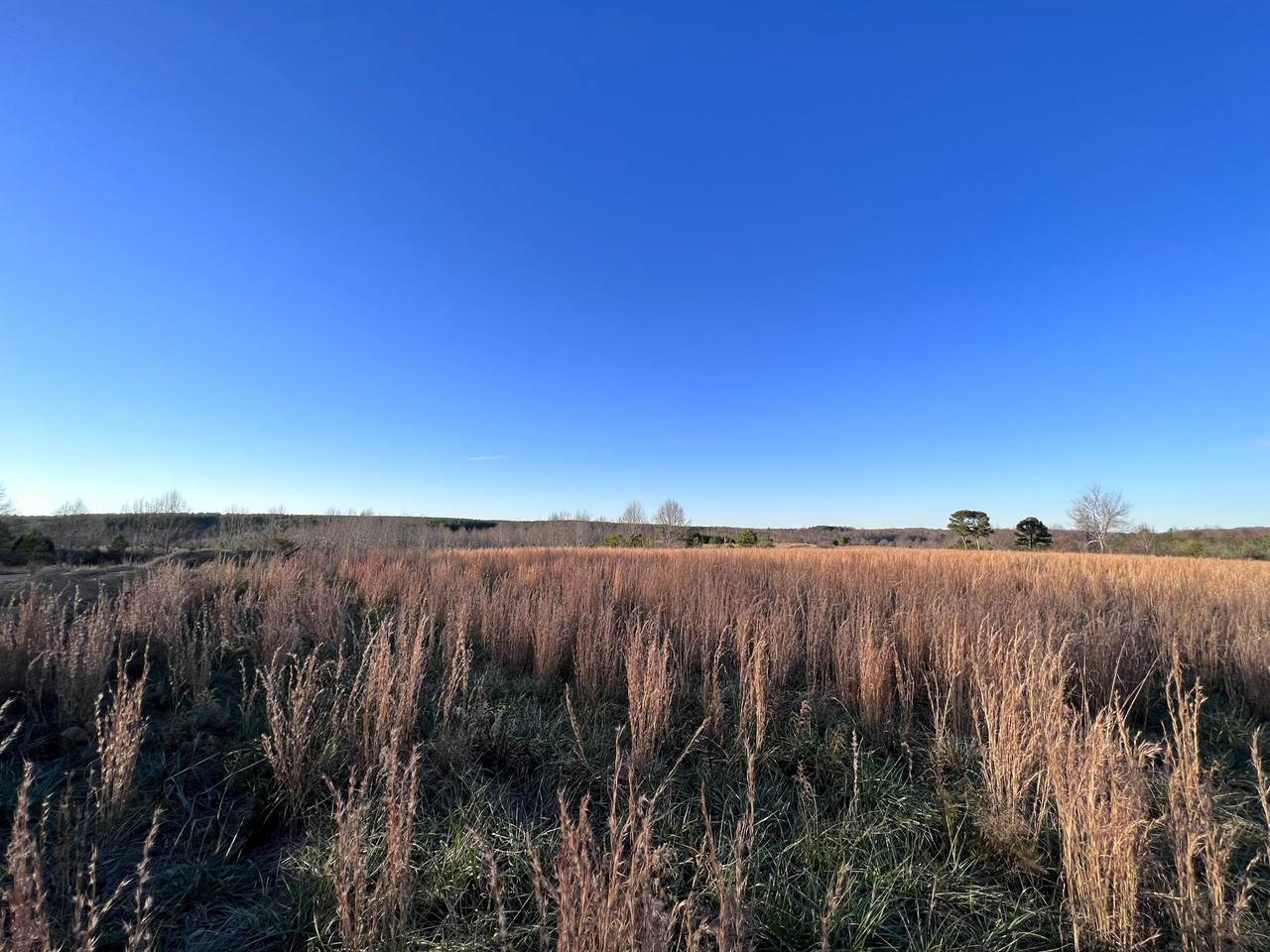 0 Brush Creek Rd - Photo 1