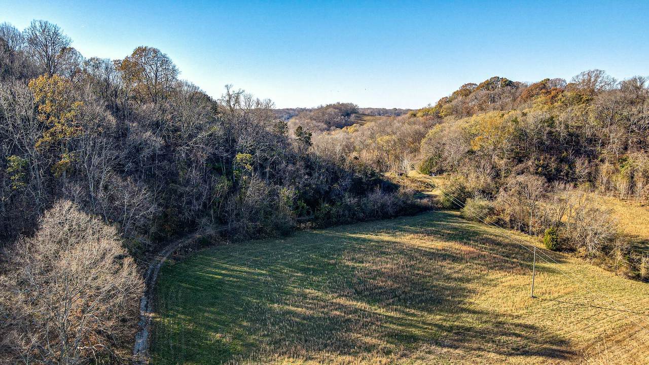 1724 Joe Pope Rd - Photo 1
