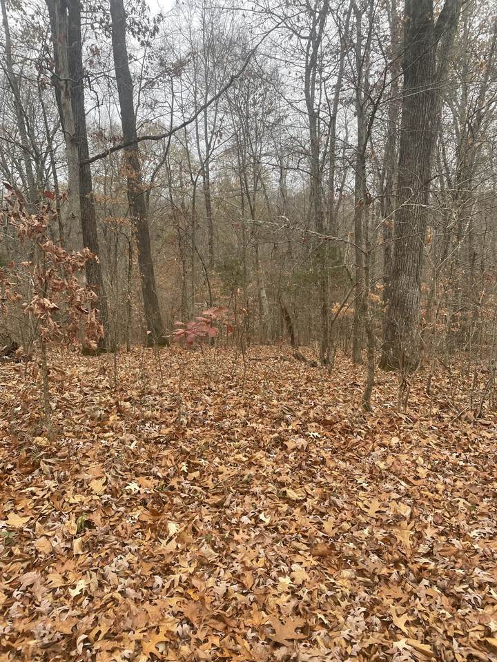 0 Lakeshore Dr. - Photo 1
