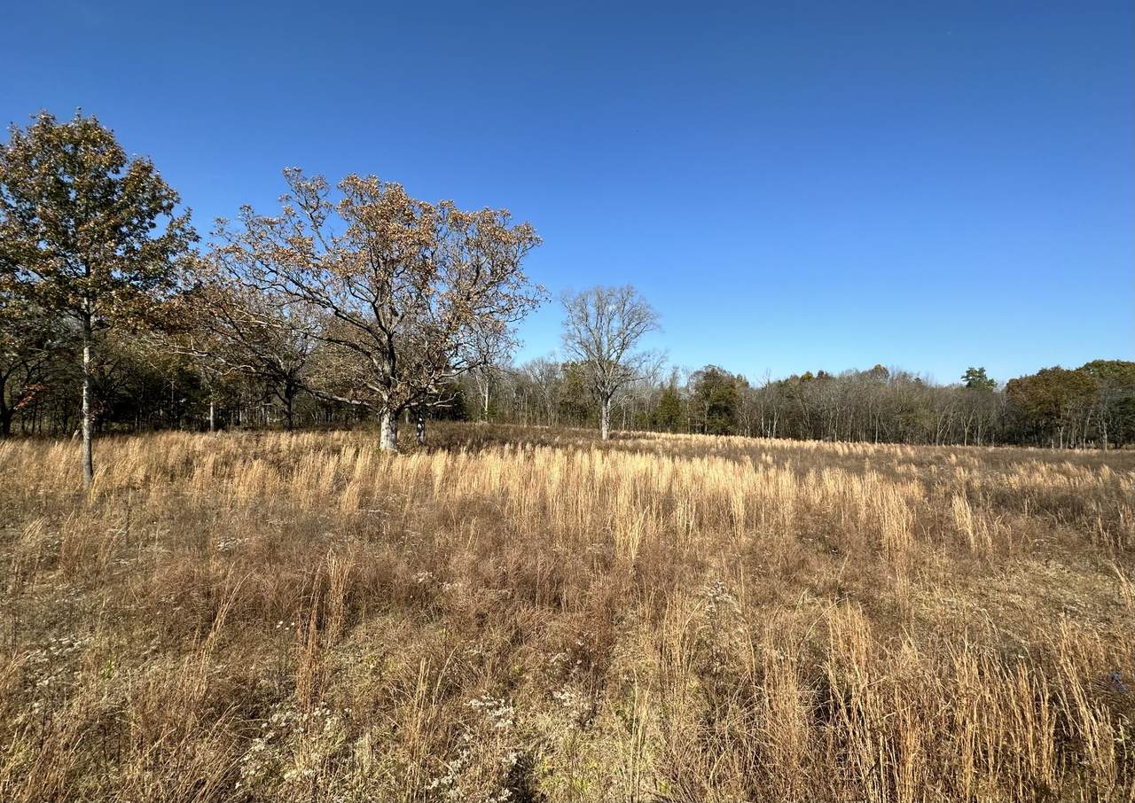 5490 Thick Rd - Photo 1