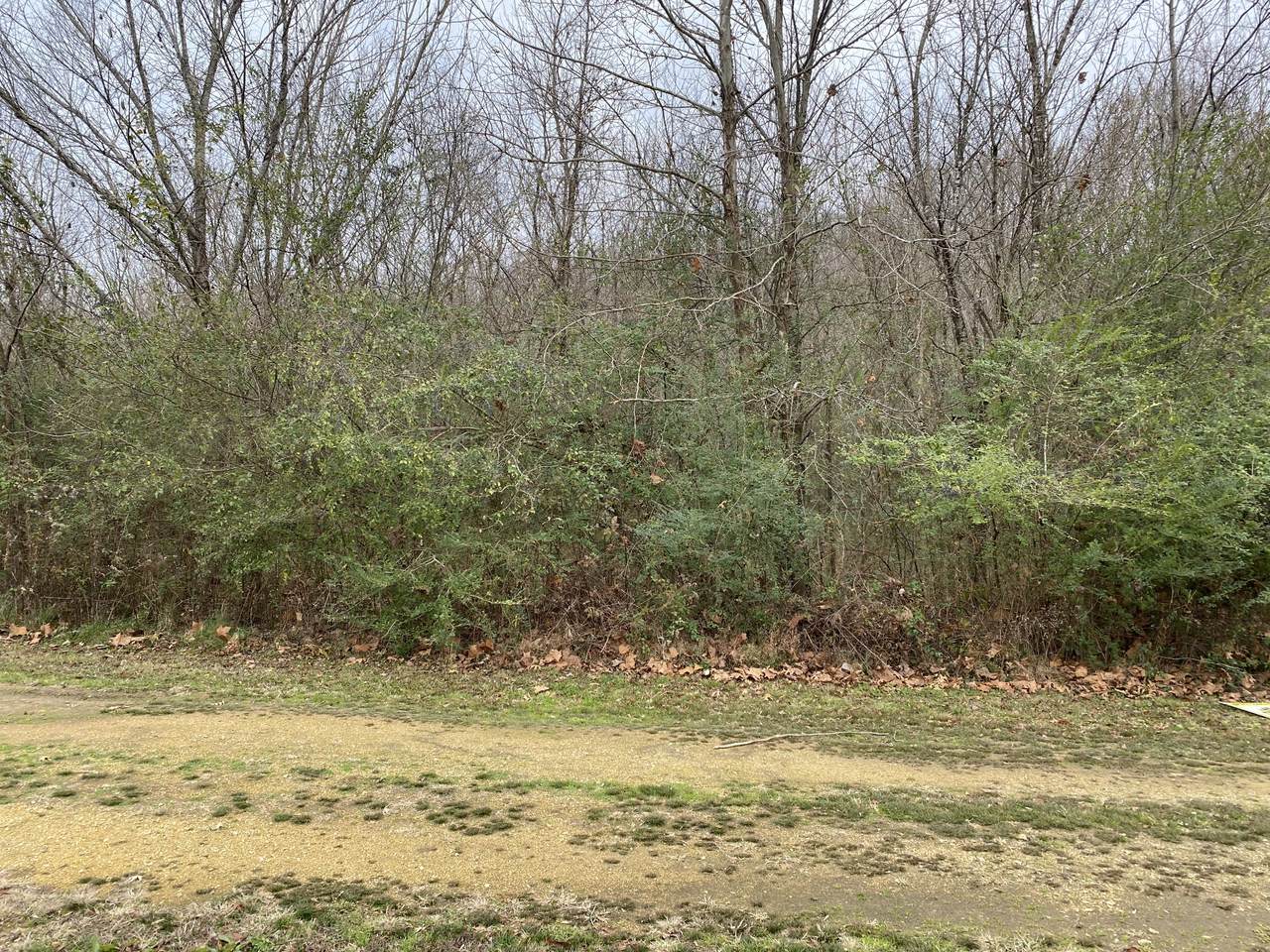 0 Spruce Lane - Photo 1