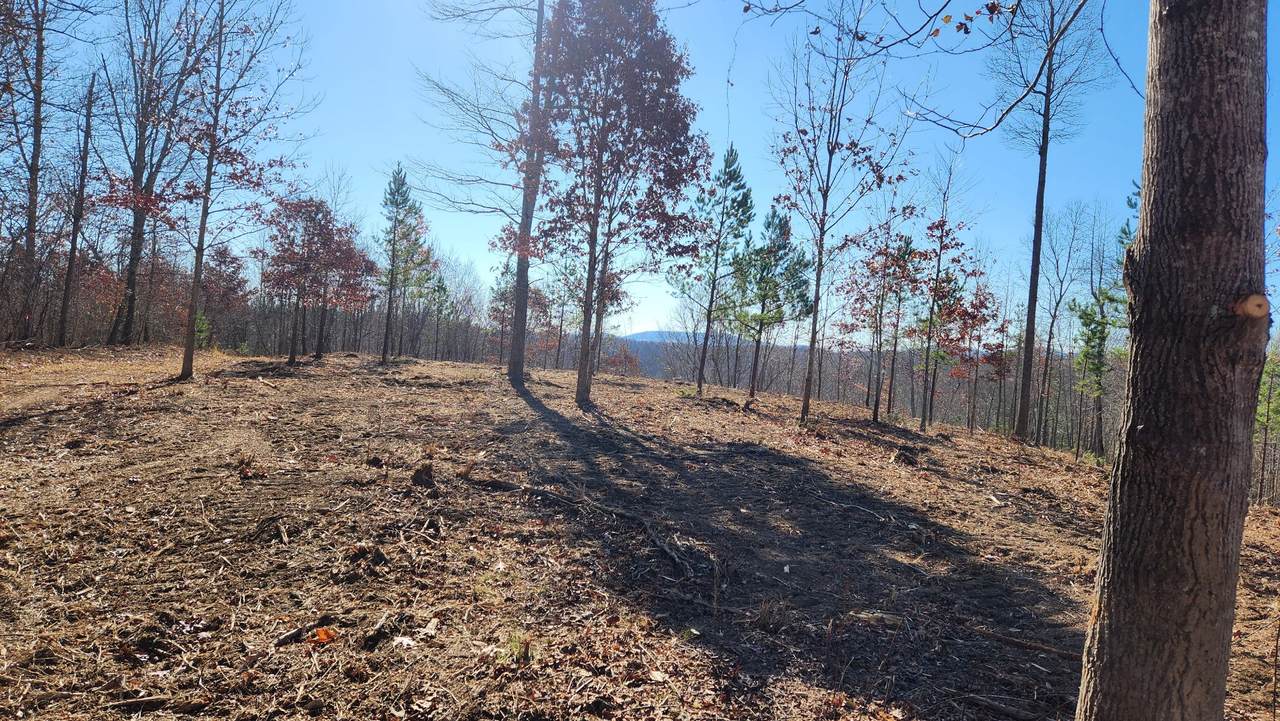 0 West Dry Creek Rd - Photo 1