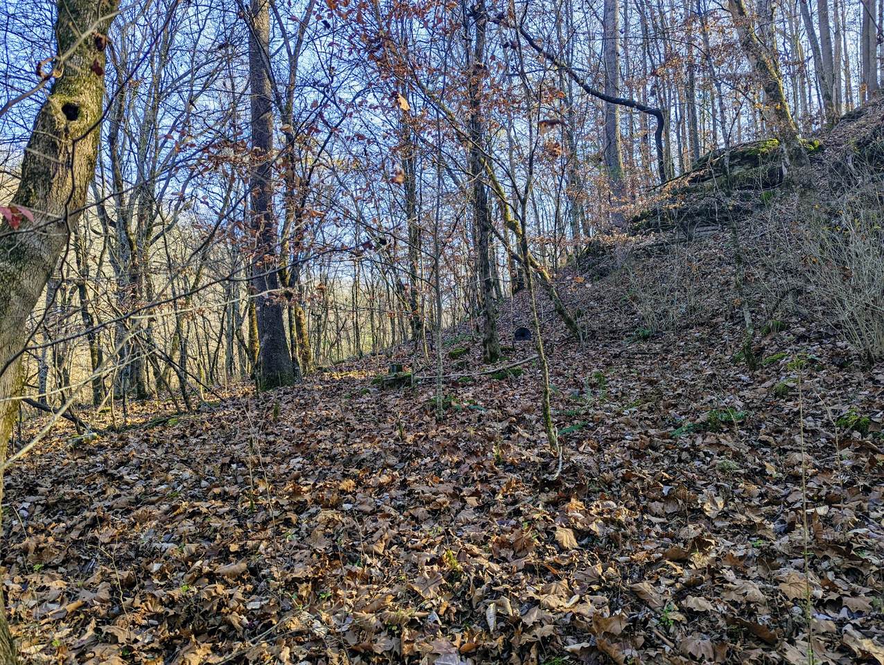 0 Hickman Springs - Photo 1