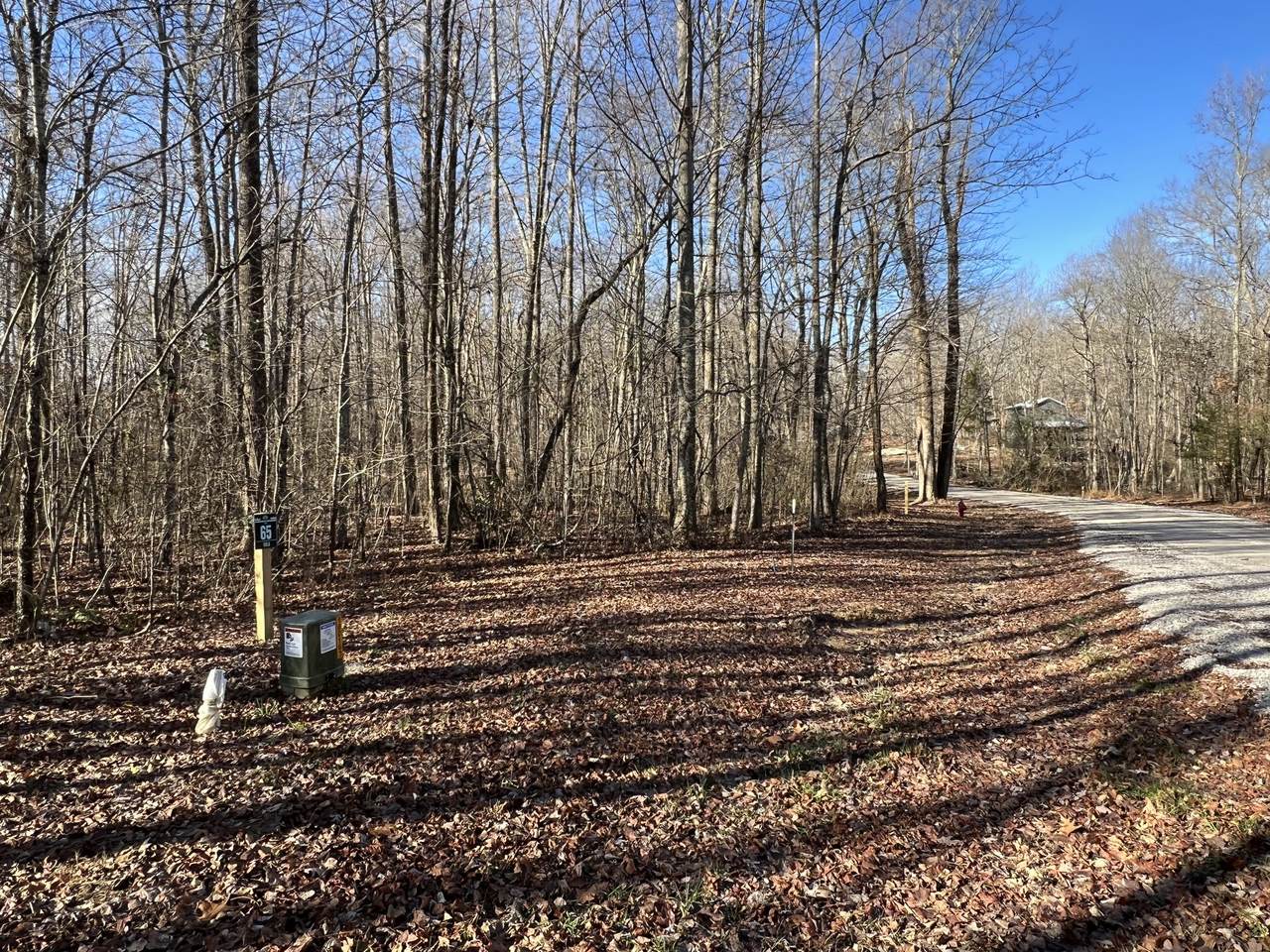 63 Sunset Bluff Way - Photo 1