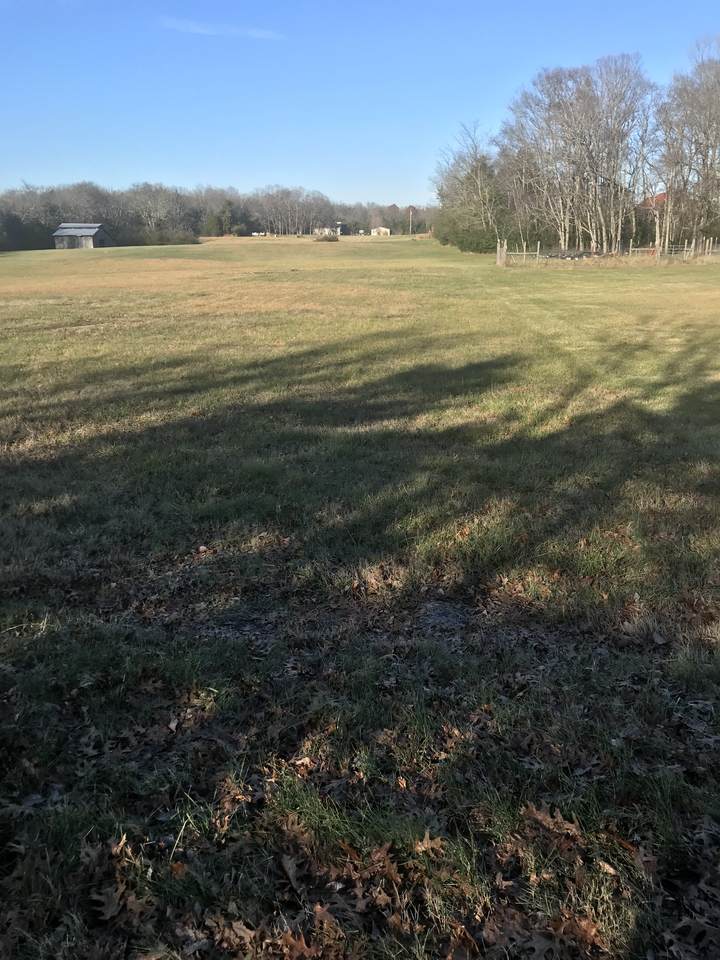 1586 Wade Brown Rd - Photo 1