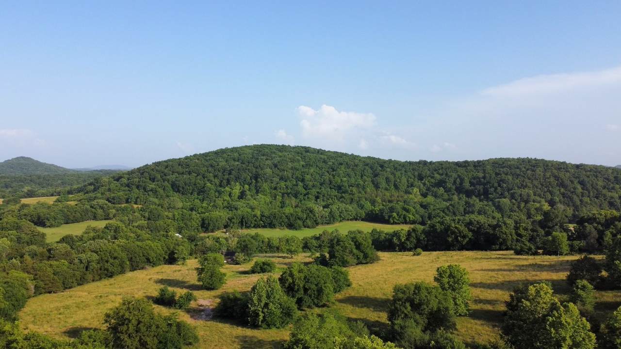 3550 Kennedy Creek Rd - Photo 1