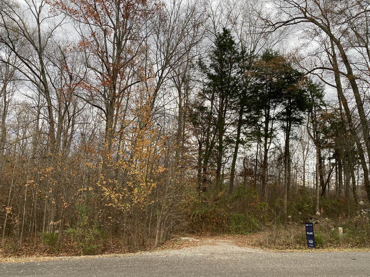0 Creeks Crossing Ct - Photo 1