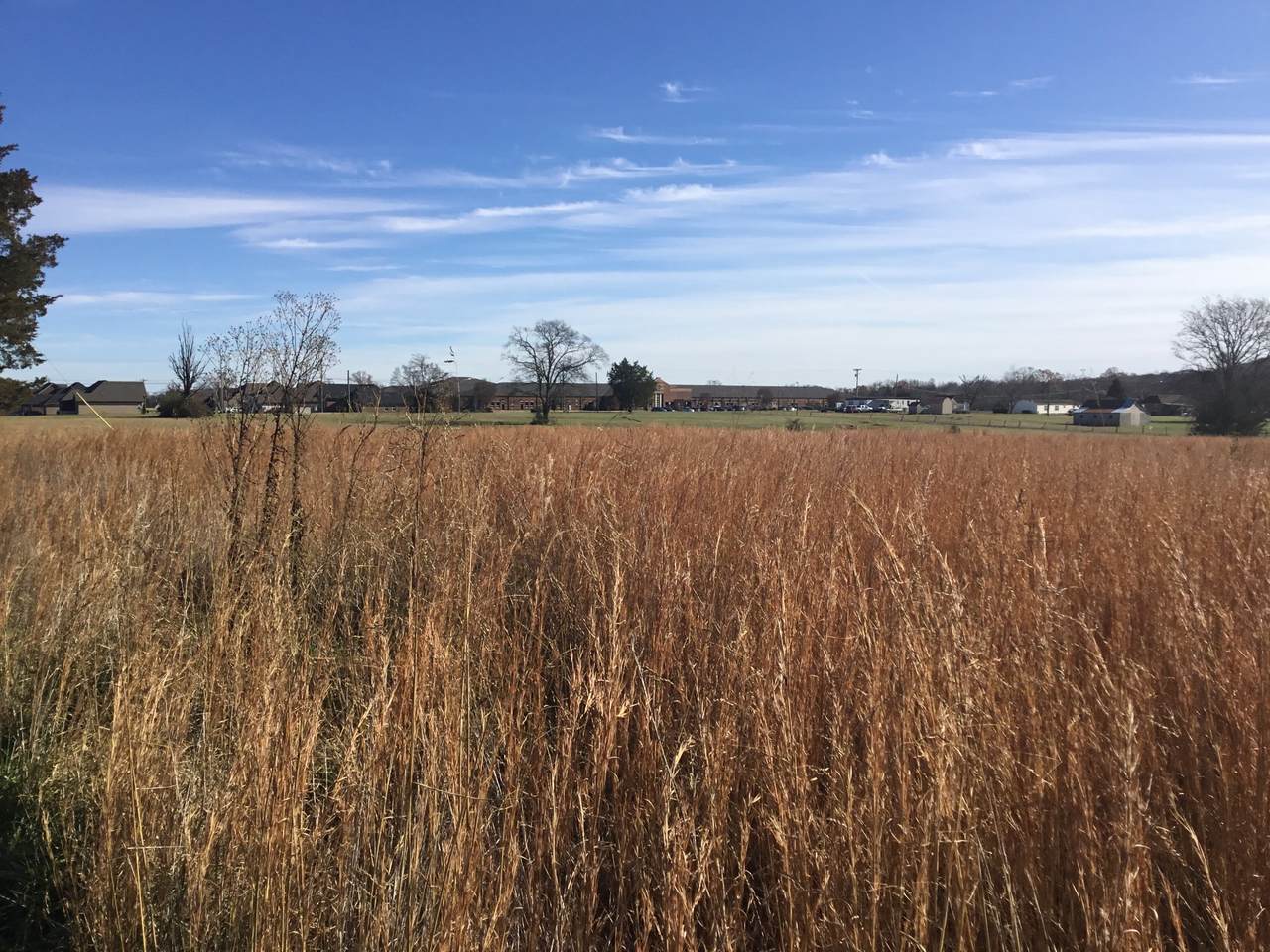 0 Old Stewert Creek Rd - Photo 1