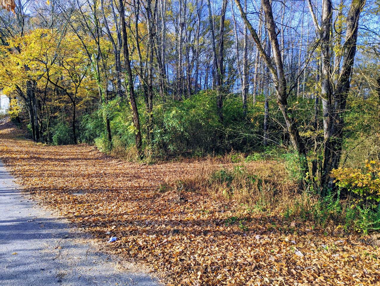 0 Rogers Rd. - Photo 1