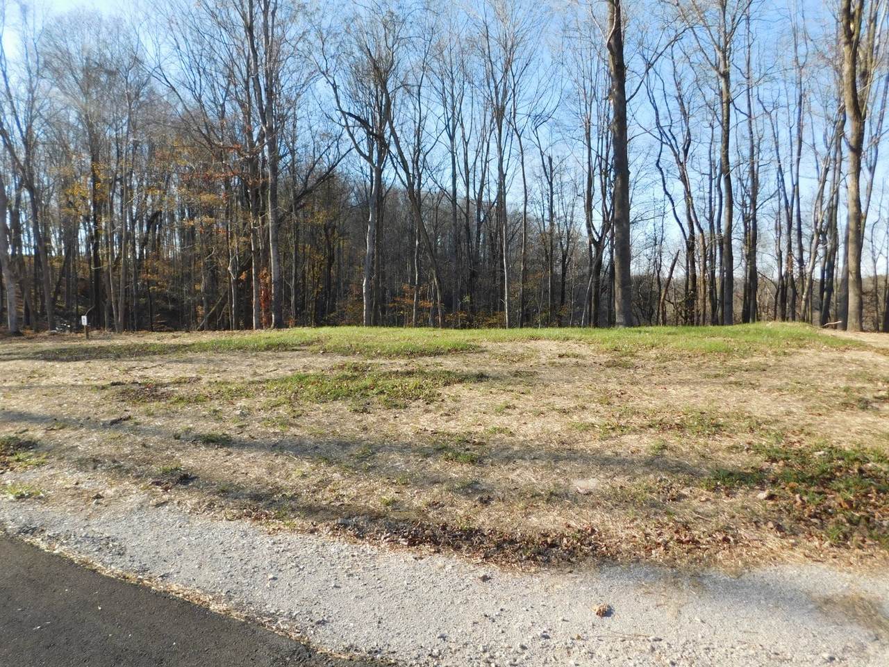 0 Silver Point Shores - Photo 1