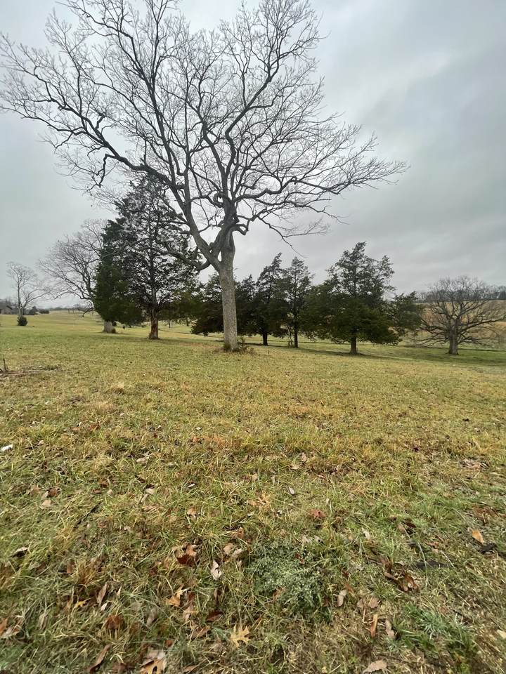 0 Horns Springs Rd Tract 8 - Photo 1