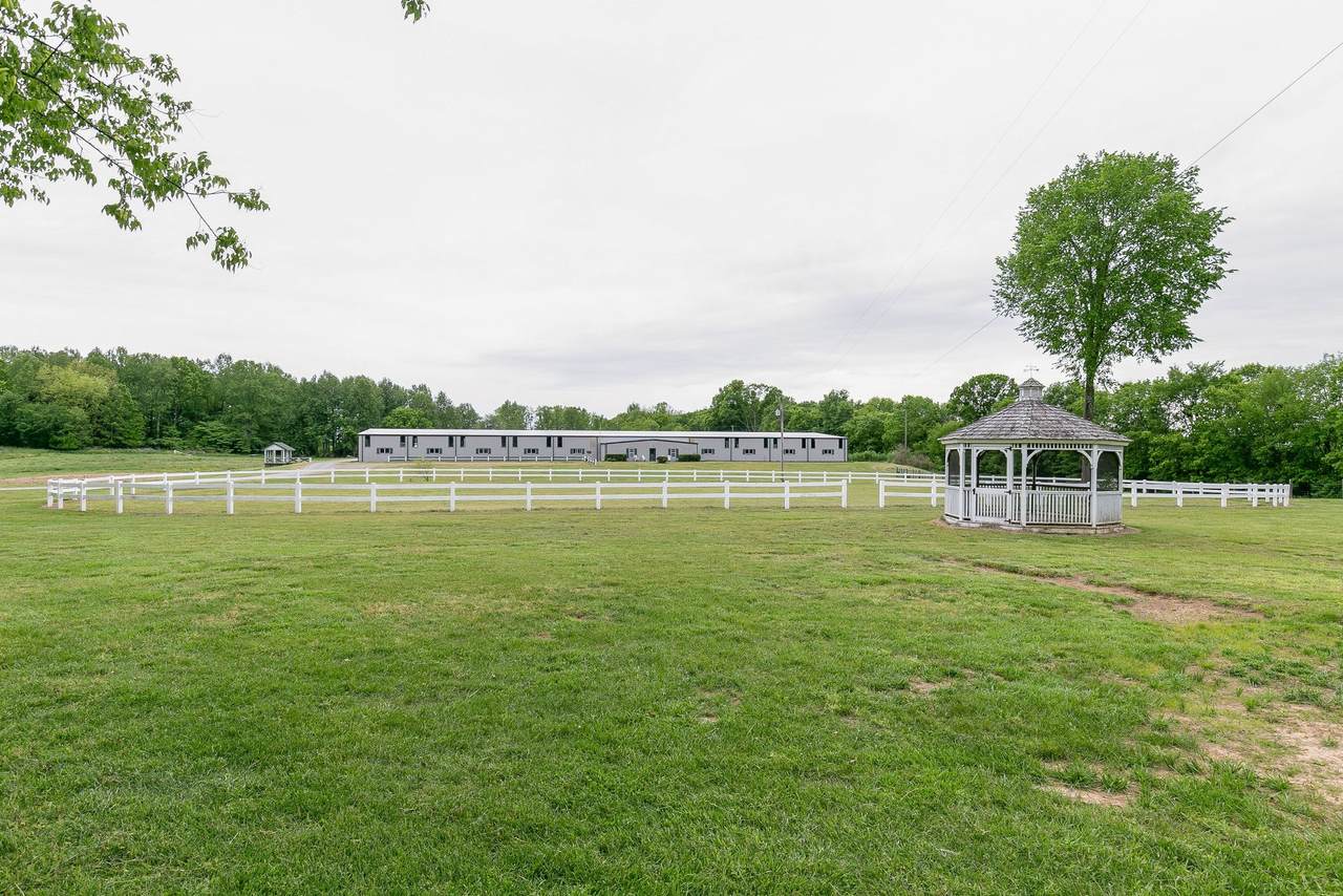3041 Duplex Rd - Photo 1