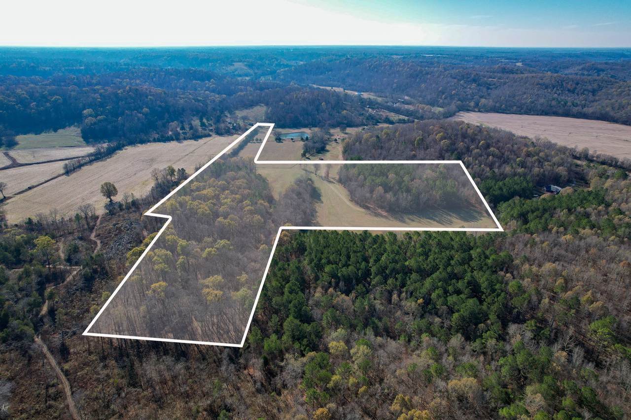 0 Redus Hollow Rd - Photo 1
