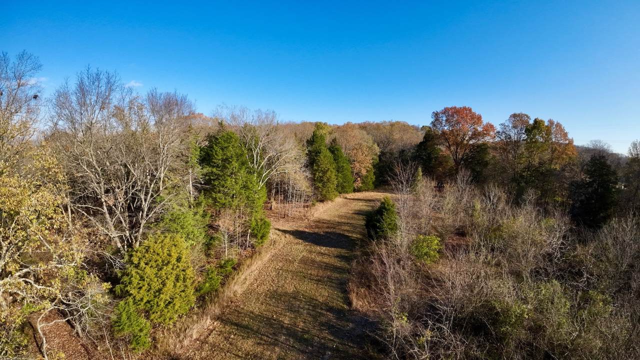 705 Cairo Bend Rd - Photo 1