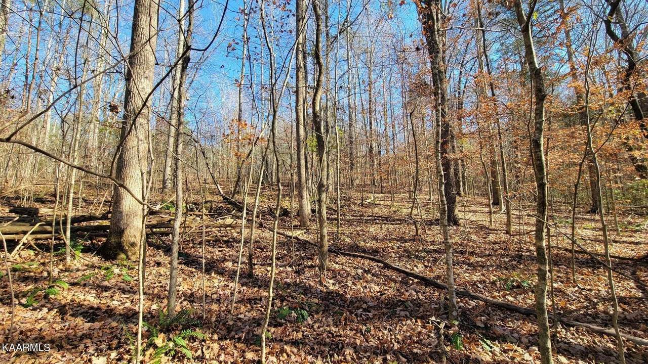 56 Milky Way Road, Lot 56 Way - Photo 1