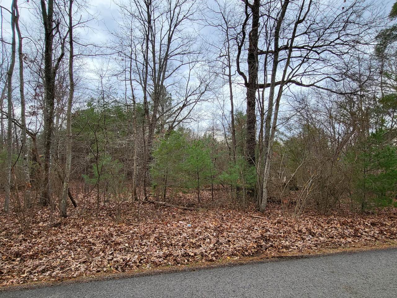 0 Bennie Camp Rd - Photo 1