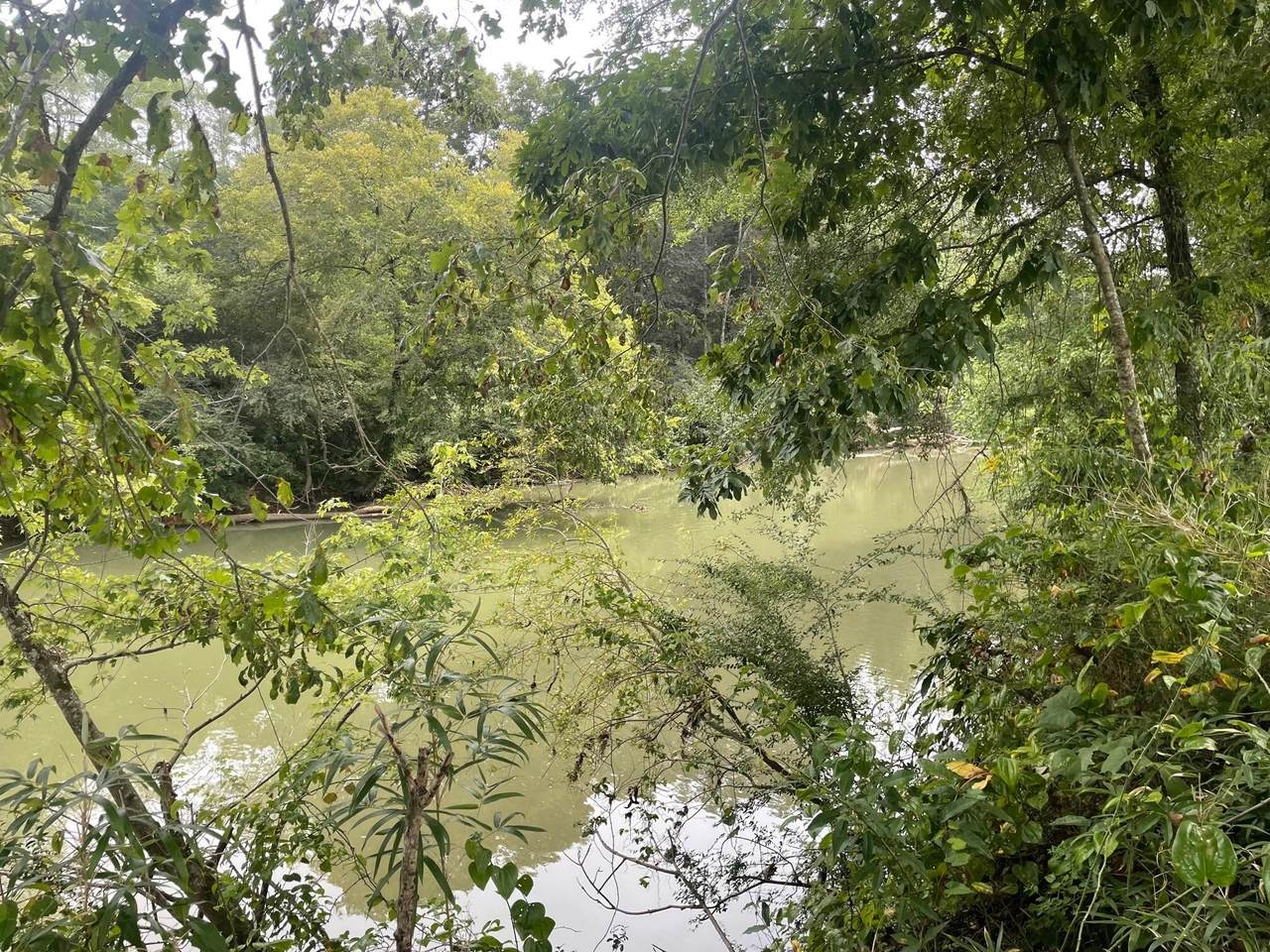 0 Neal Rd - Photo 1