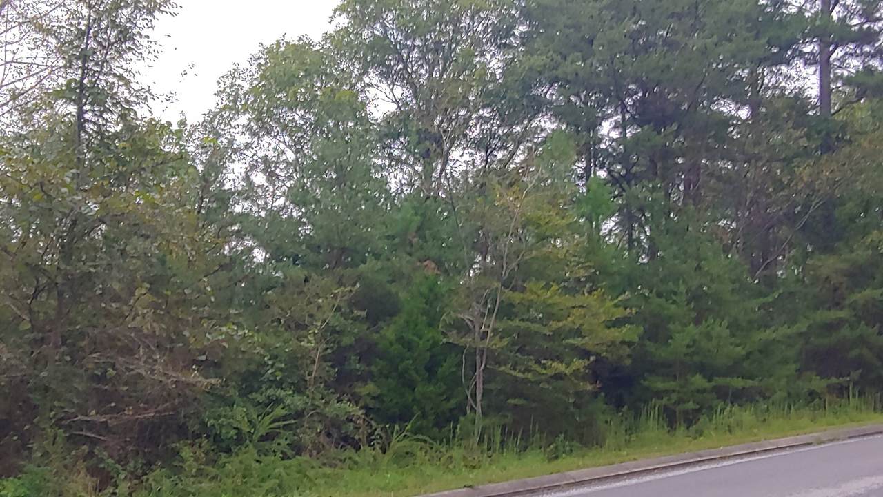 3 Countryside Dr - Photo 1