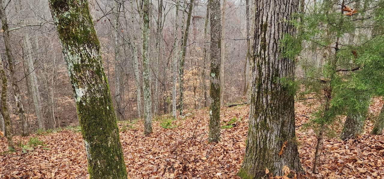 0 Mountain Harbor Trace - Photo 1