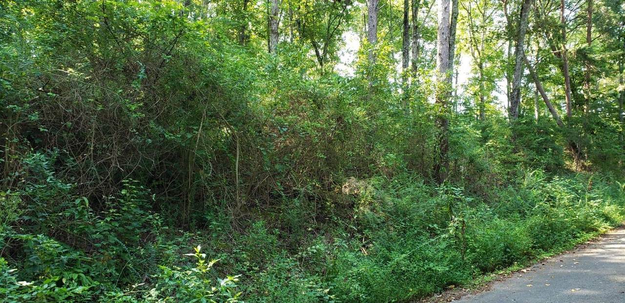 0 Treeline Dr - Photo 1