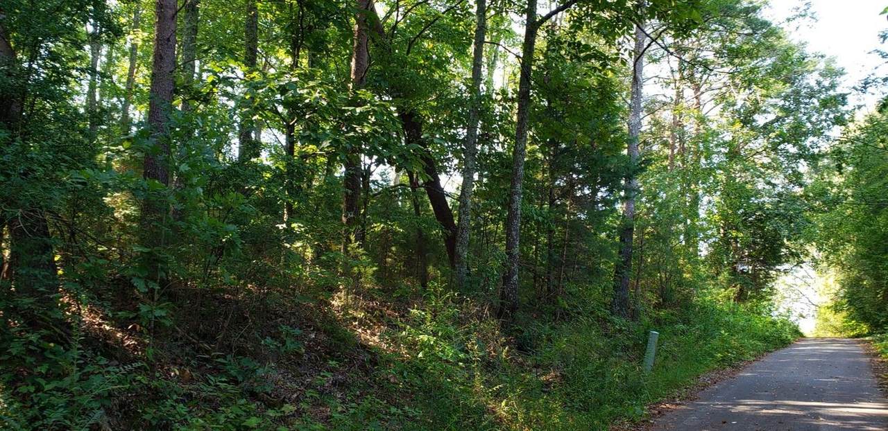 0 Treeline Dr - Photo 1