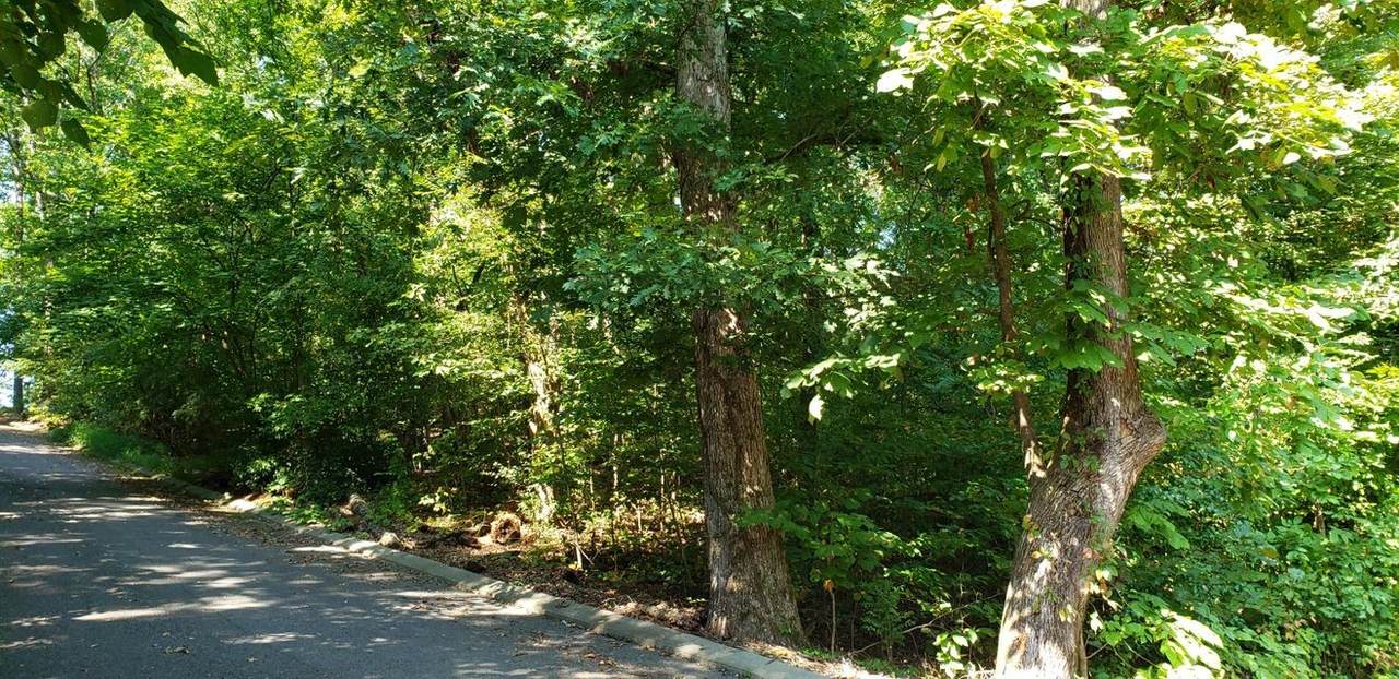 0 Shady Oaks Cove - Photo 1