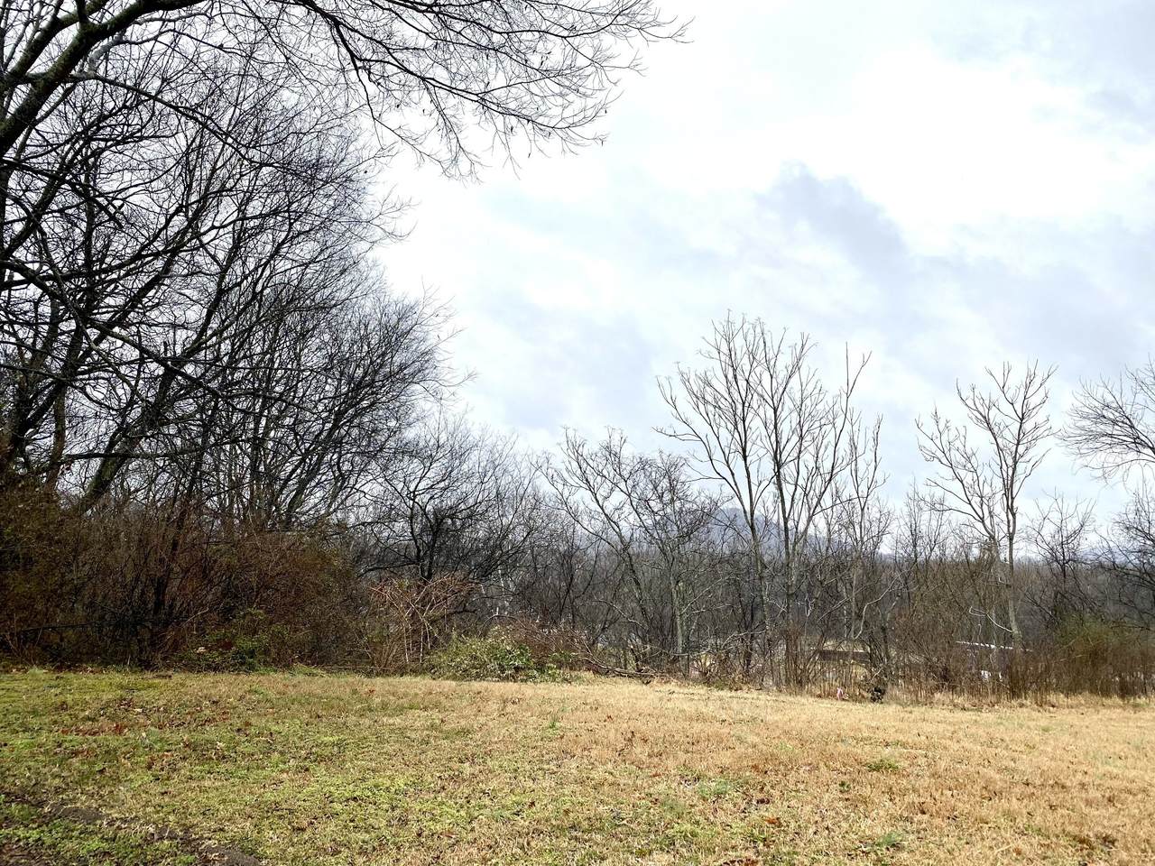 701 Harpeth Knoll Ct - Photo 1