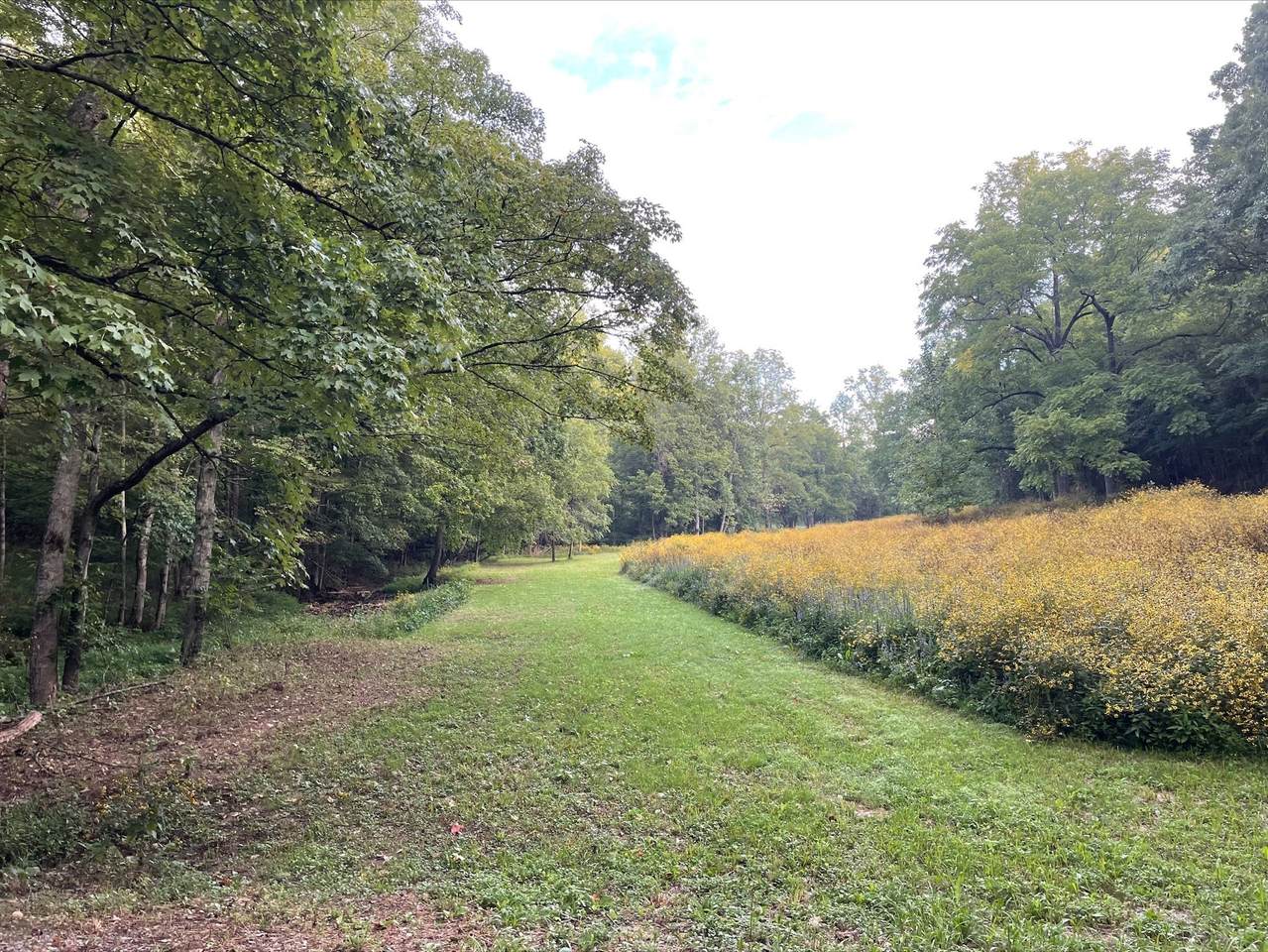 0 Mcmahan Hollow Rd Lot 3 - Photo 1