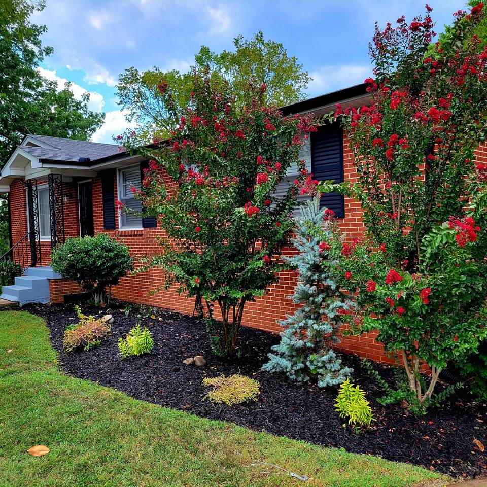 403 Grosse Point Ct - Photo 1