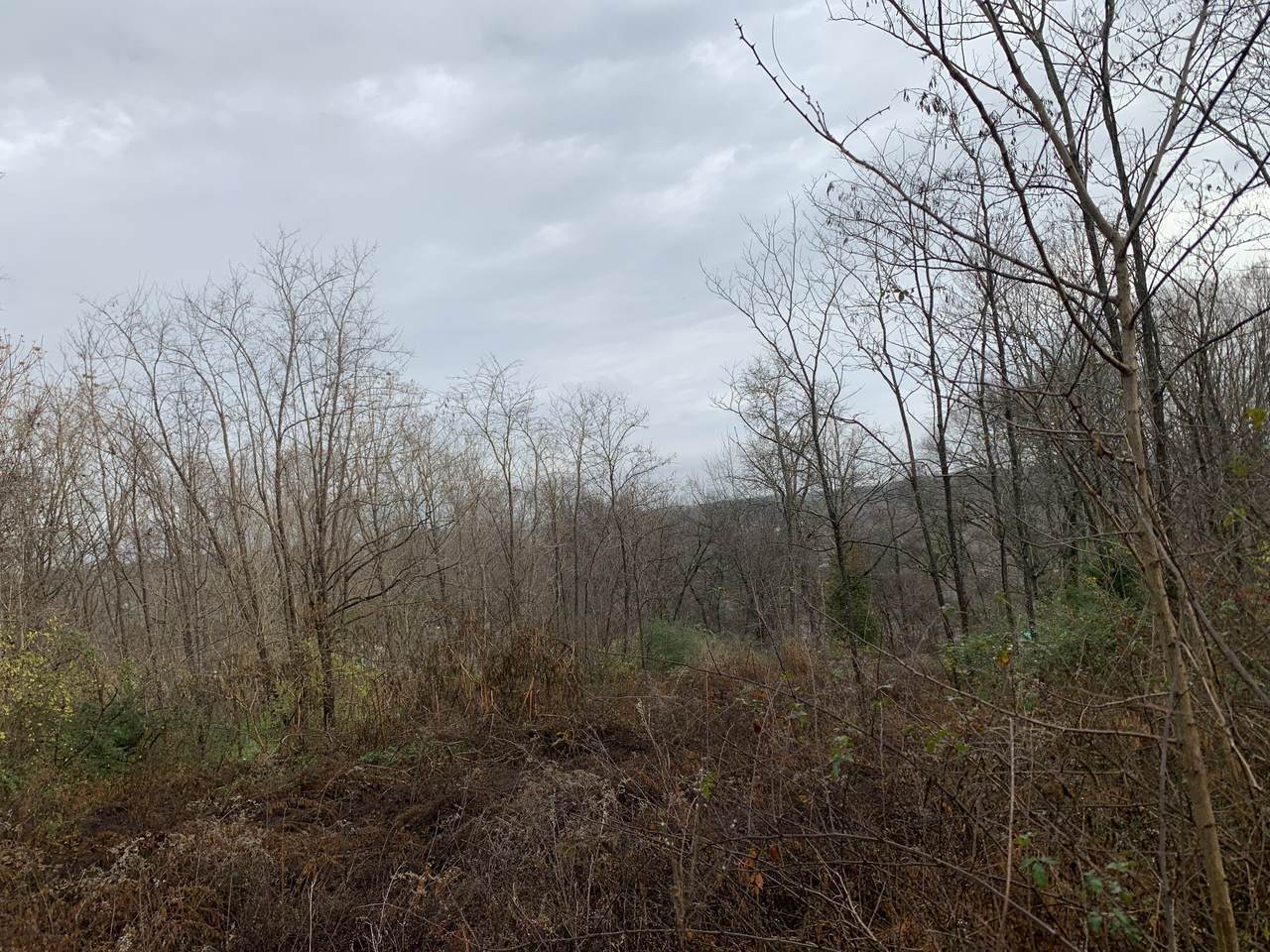 514 Roxanne Dr - Photo 1