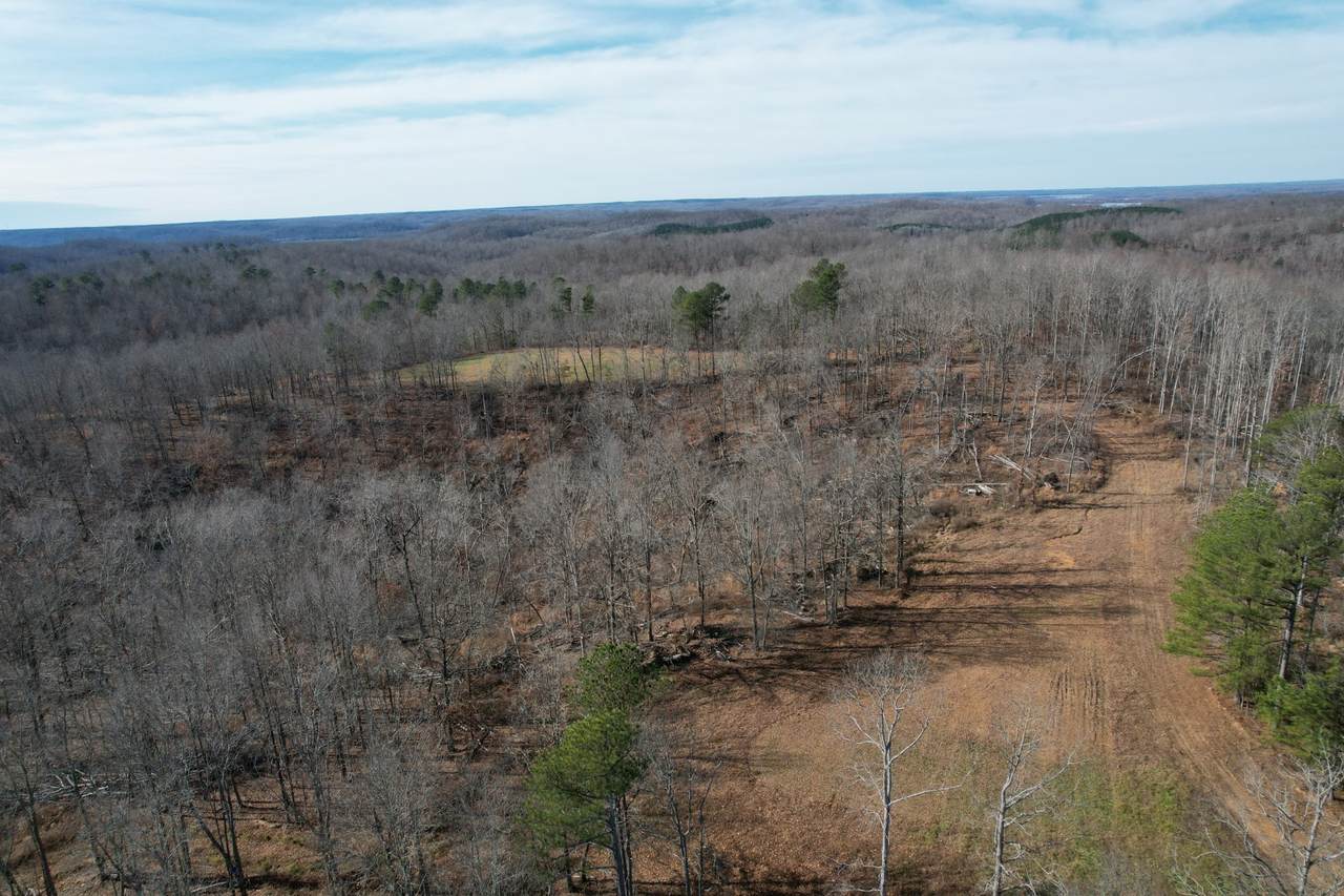 0 Roberts Ck Rd - Photo 1