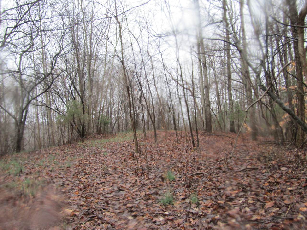 0 Galton Lane - Photo 1