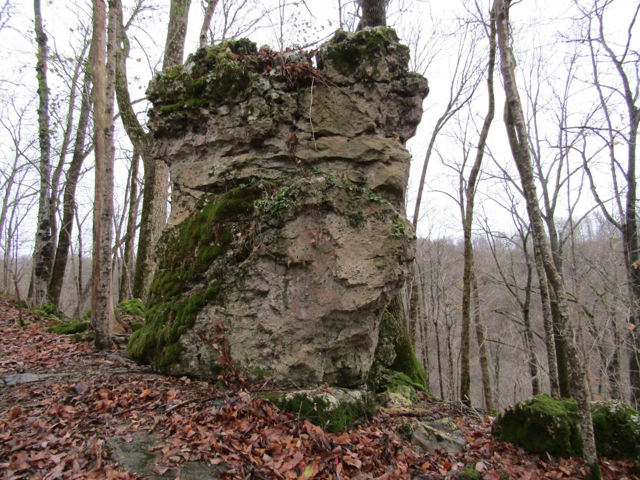 0 Baugh Hollow Lane - Photo 1