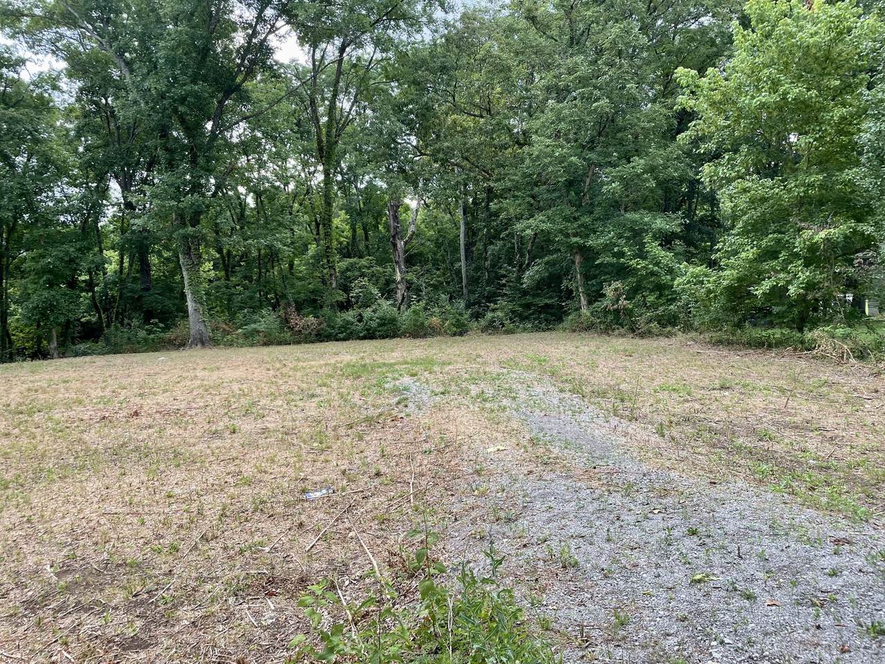 0 Hwy 231 S - Photo 1
