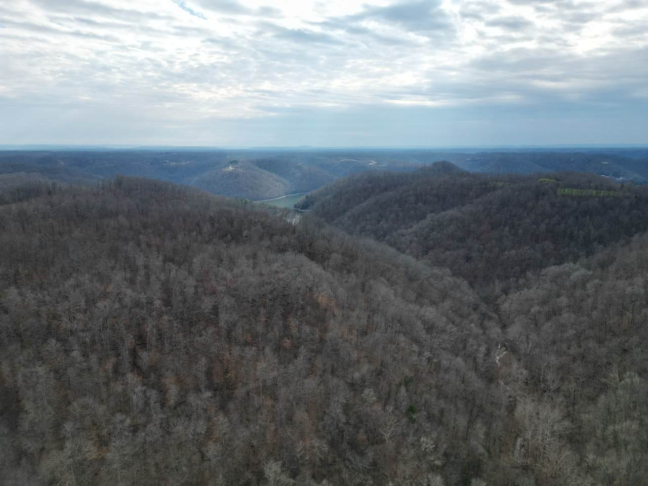 655 Burton Ridge Rd - Photo 1