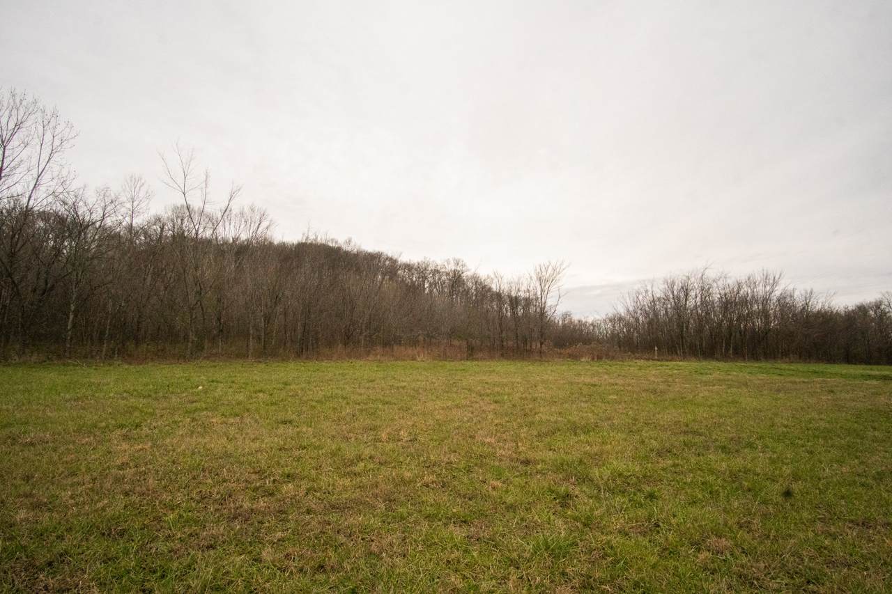 0 Hwy 43 - Photo 1