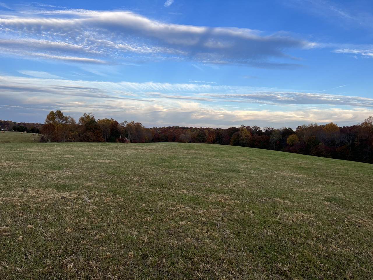 0 Pleasant Grove Rd - Photo 1