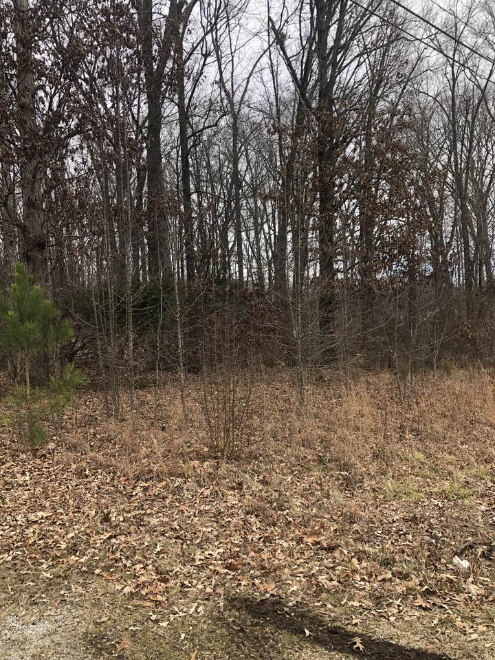 0 Old Highway 64 - Photo 1