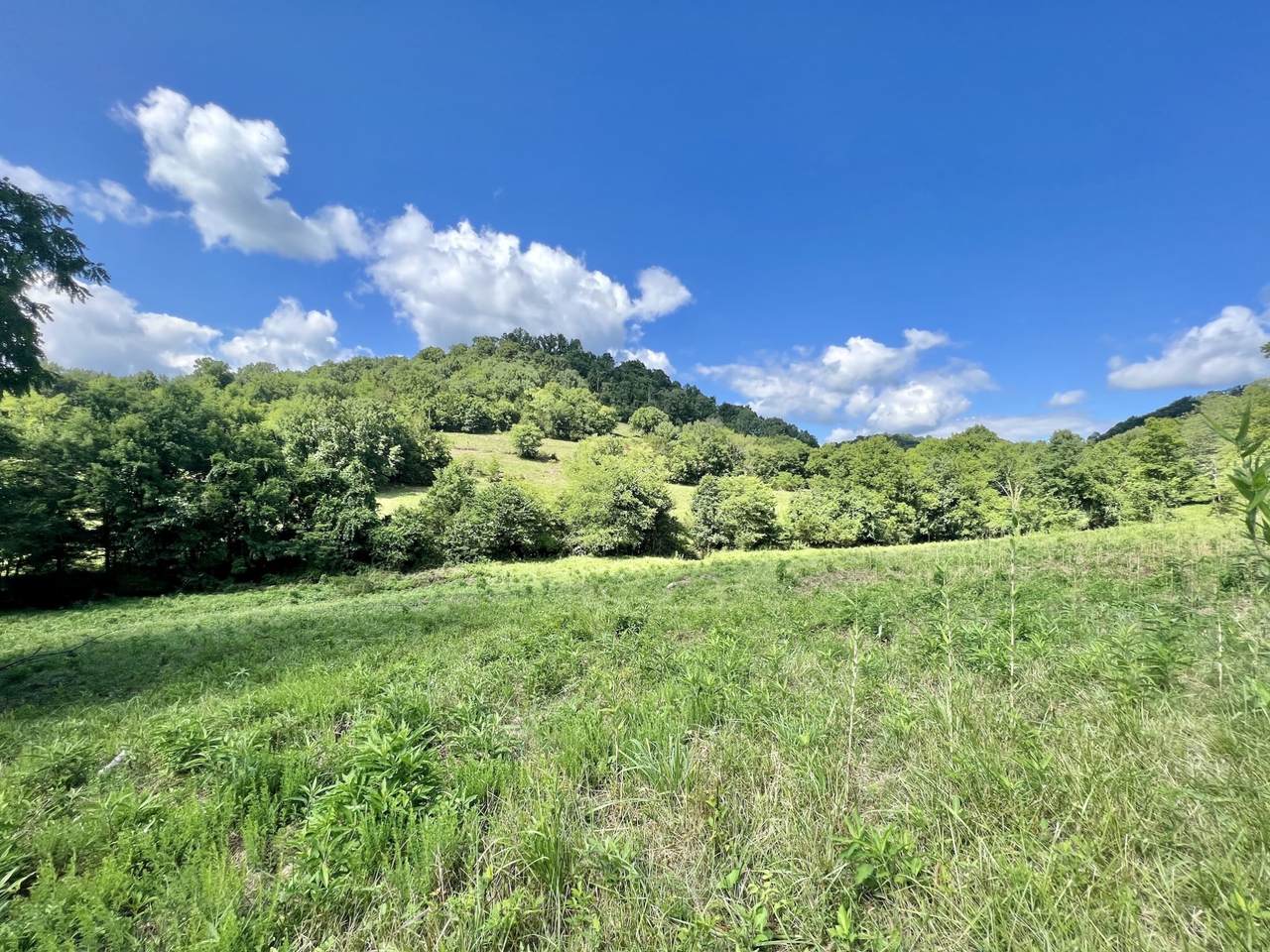 617 Stewart Rd - Photo 1