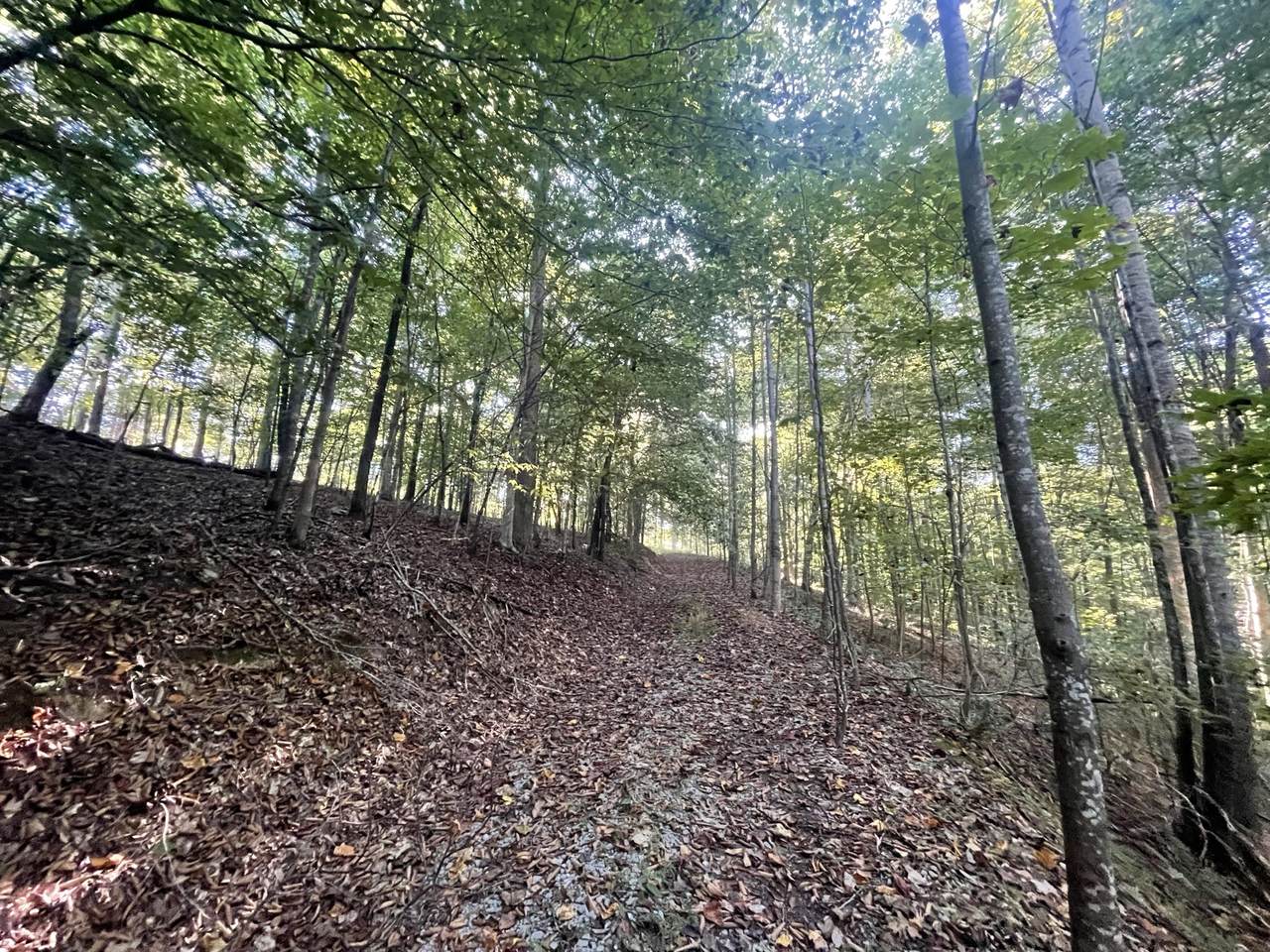 0 Shasteen Ridge Road - Photo 1