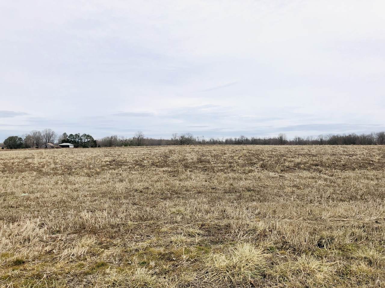 0 Dugout Road - Photo 1