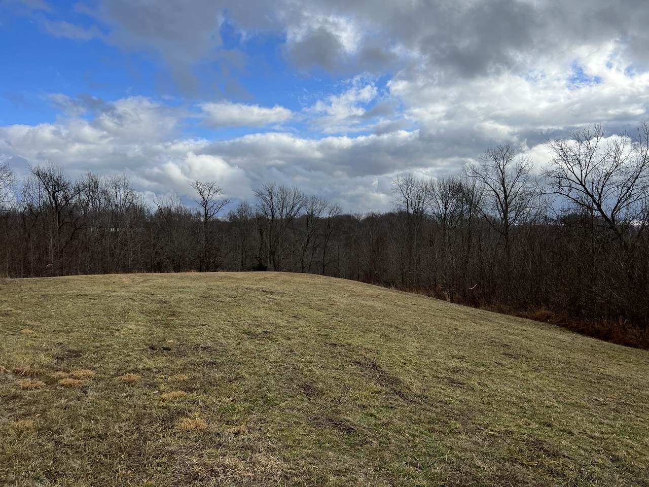 0 Ferguson Hollow Road - Photo 1