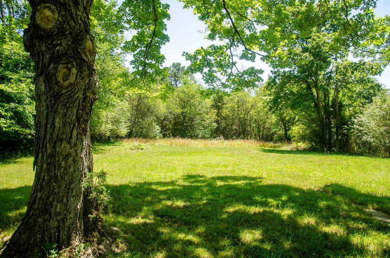 7103 Kyles Creek Dr - Photo 1