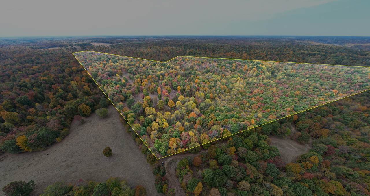 0 Brown Mill Rd - Photo 1