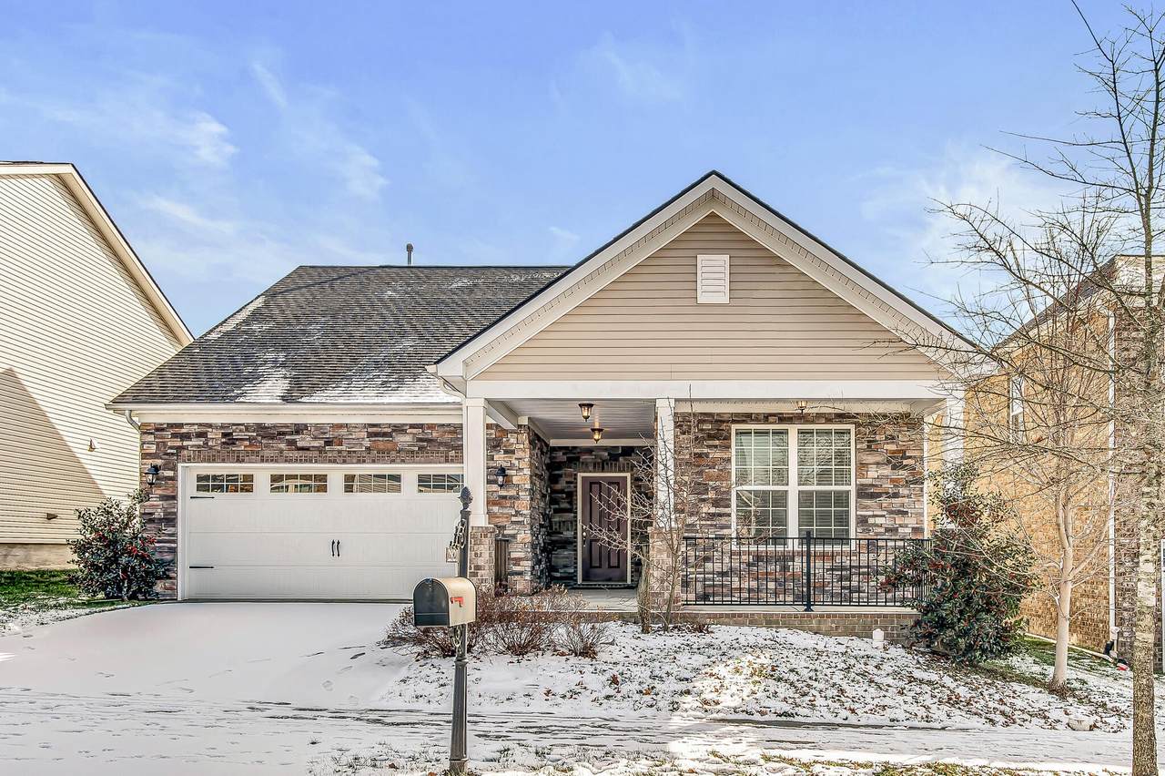 2820 Whitebirch Dr - Photo 1