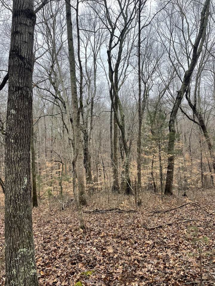 0 Short Mountain Rd. - Photo 1